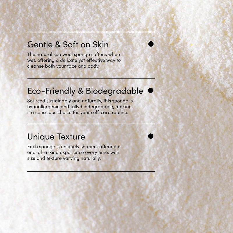 LATHER - Natural Sea Wool Sponge, 4-5" - Organic Exfoliating Body Scrubber - Soft, Gentle Cleansing - Hypoallergenic - All Skin Types - Florida Natural Loofah Sponge - Cruelty Free - Beauty & Skincare - Image 5