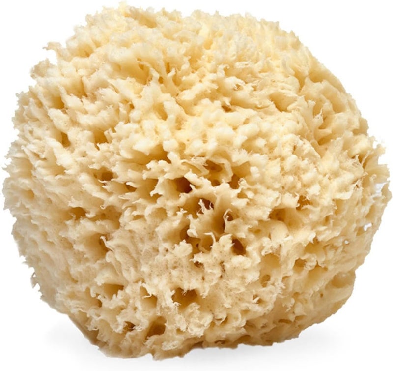 LATHER - Natural Sea Wool Sponge, 4-5" - Organic Exfoliating Body Scrubber - Soft, Gentle Cleansing - Hypoallergenic - All Skin Types - Florida Natural Loofah Sponge - Cruelty Free - Beauty & Skincare - Image 1