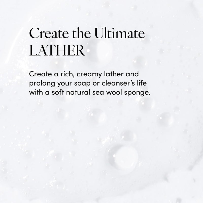 LATHER - Natural Sea Wool Sponge, 4-5" - Organic Exfoliating Body Scrubber - Soft, Gentle Cleansing - Hypoallergenic - All Skin Types - Florida Natural Loofah Sponge - Cruelty Free - Beauty & Skincare - Image 4