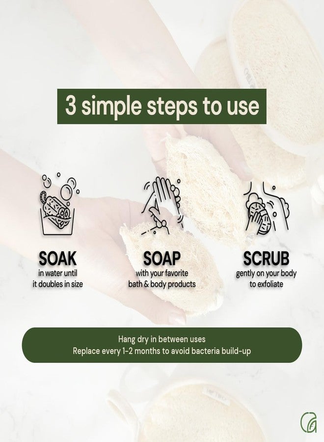DEVIT™ Natural Resusable Sun-Dried Loofah Bath Sponge (Pack of 3) | Exfoliating Body Scrubber for Men & Women | Biodegradable & Eco-Friendly | Organic Luffa Scrubber | Double sided - Image 3