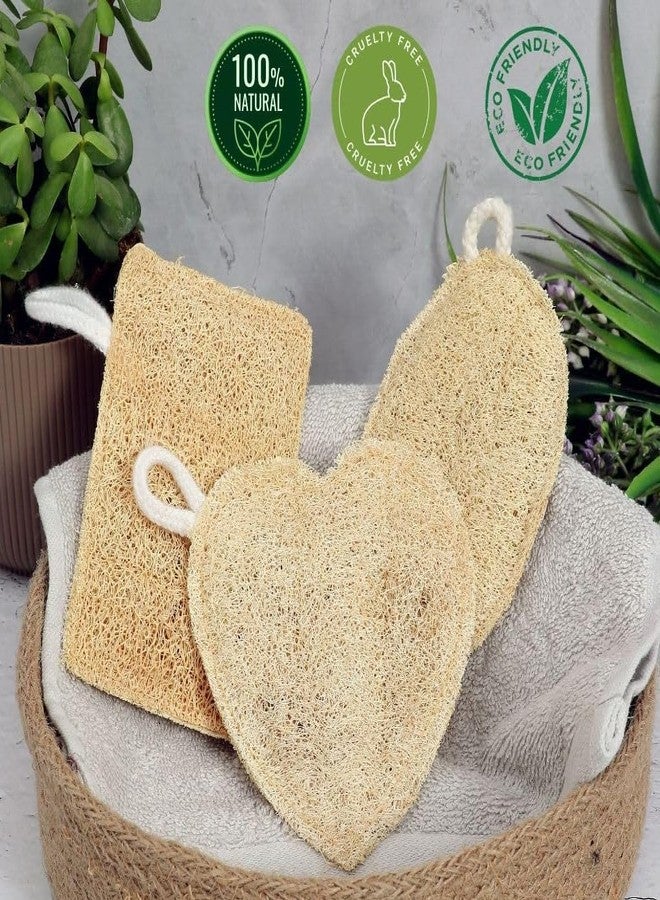 DEVIT™ Natural Resusable Sun-Dried Loofah Bath Sponge (Pack of 3) | Exfoliating Body Scrubber for Men & Women | Biodegradable & Eco-Friendly | Organic Luffa Scrubber | Double sided - Image 2