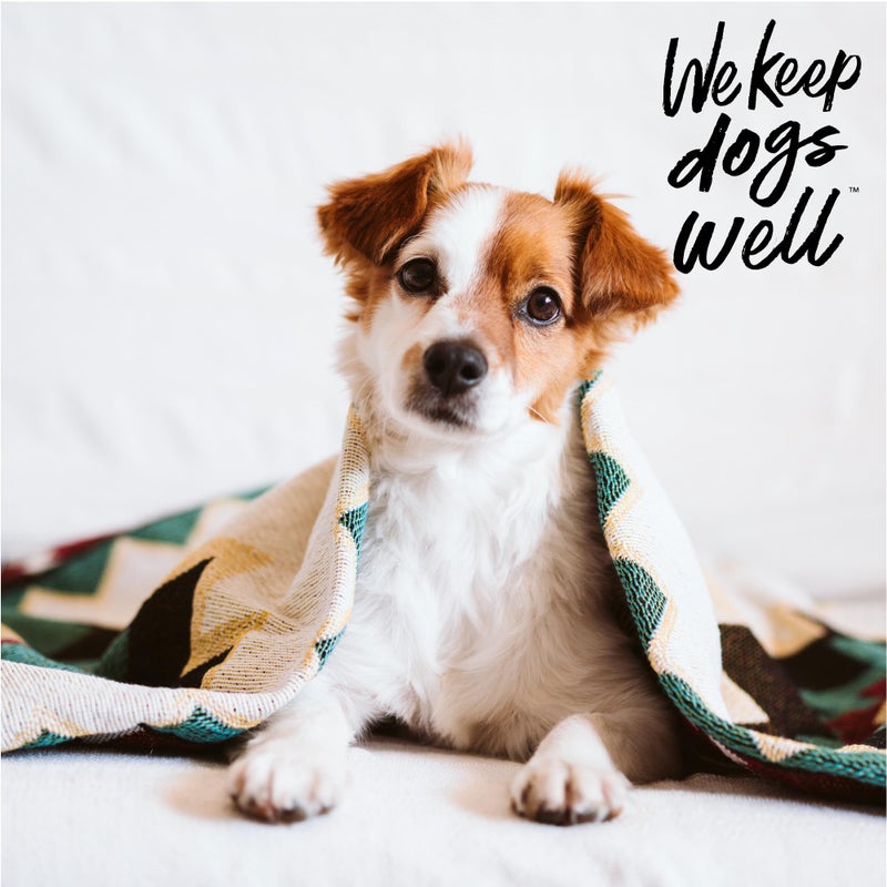 Dogswell Remedy+Recovery Liquid Bandage for Dogs - Image 4