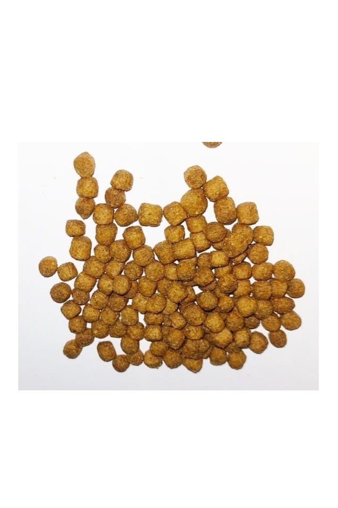 Doodzy Premium Dry Food For Cats 15 kg - Image 2
