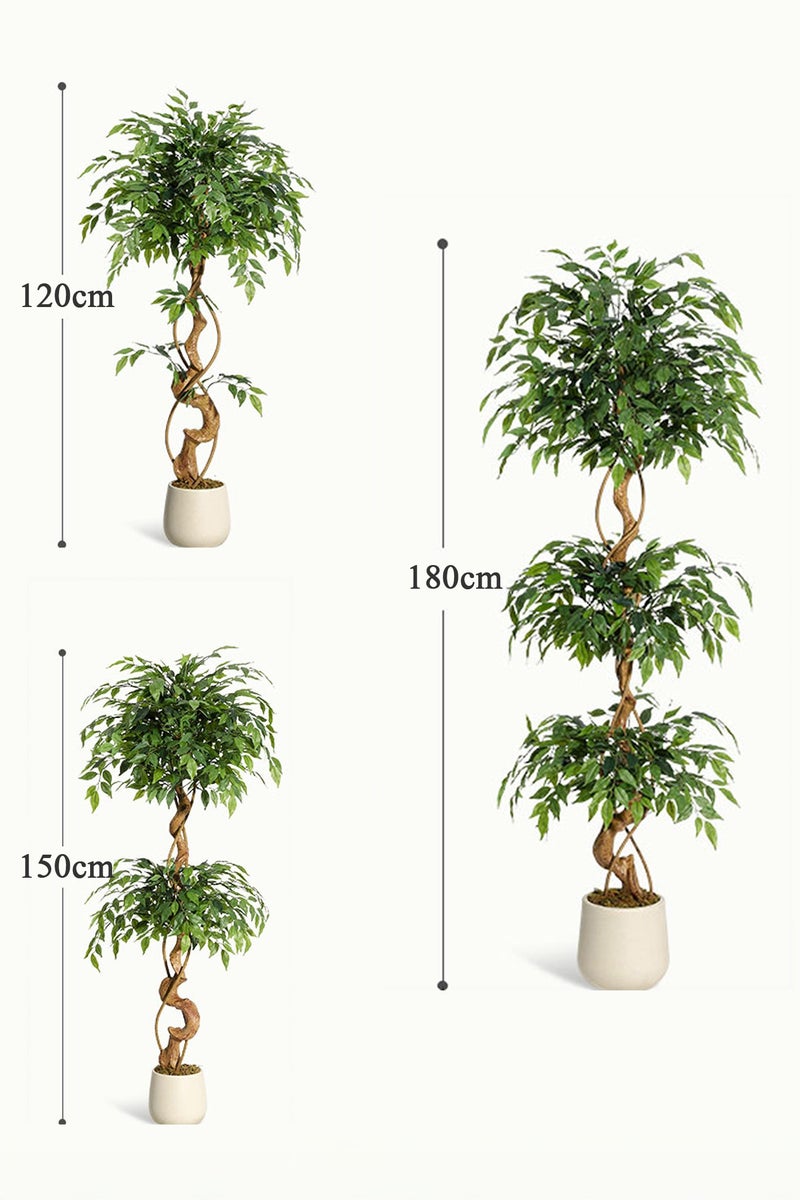 Zvezvia Ficus Artificial Tree with Curved Trunk, 120cm/150cm/180cm Faux Plant Fake Silk Trees with White Pot, Fake Ficus Tree for Home Decor, Artificial Plants Indoor for Indoor Office Living Room - Image 2