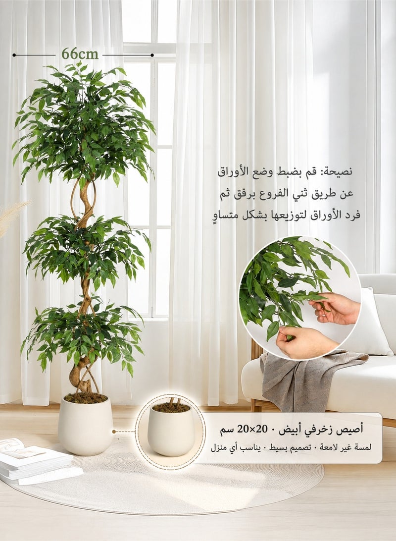 زفيزفيا شجرة فيكس صناعية فاخرة بساق منحني - 3 مقاسات (120سم/150سم/180سم) مع أصيص أبيض - لديكور المنزل والمكتب والصالة - Image 3