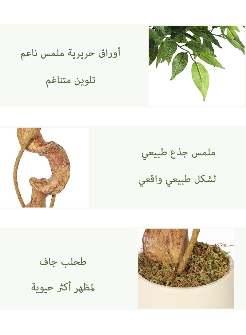 زفيزفيا شجرة فيكس صناعية فاخرة بساق منحني - 3 مقاسات (120سم/150سم/180سم) مع أصيص أبيض - لديكور المنزل والمكتب والصالة - Image 5