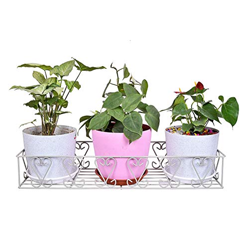 D&V ENGINEERING - Creative in innovation D&V Engineering Heavy-Duty Metal Wall Mount Plant Stand Shelf & Bracket|Indoor & Outdoor Hanging Planter Rack for Balcony, Garden – Grey, Large - Image 2