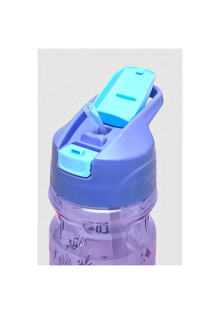 R&b  Frozen Print Sipper Water Bottle - 500ml  | Best Price UAE