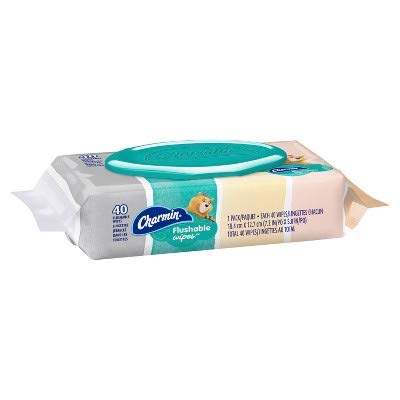 Charmin Freshmates Flushable Wipes with Refillable Tub (Pack of 2) - Image 3