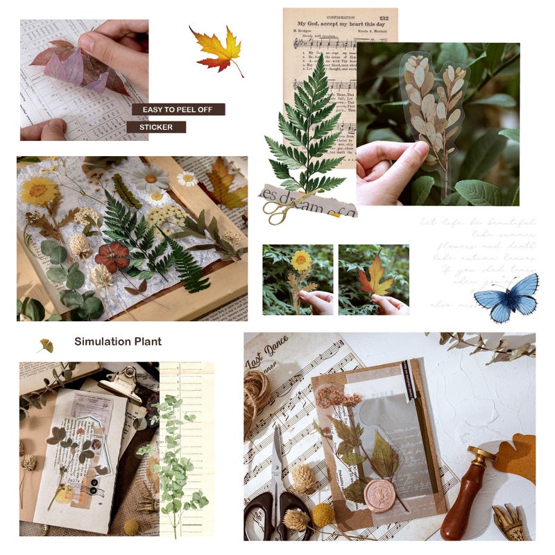 Maxleaf Botanic Series Sticker, 80PCS Large Dried Flowers Waterproof Transparent Stickers, PET Nature Plant Floral Stickers for Journaling Scrapbooking, Clear Flower Decals - Image 5