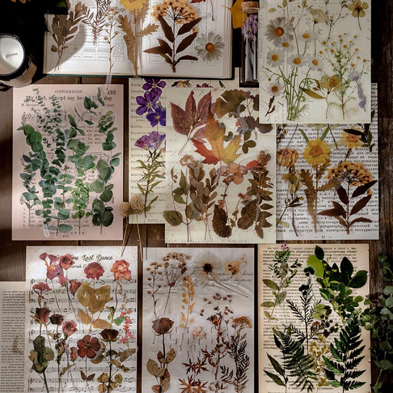 Maxleaf Botanic Series Sticker, 80PCS Large Dried Flowers Waterproof Transparent Stickers, PET Nature Plant Floral Stickers for Journaling Scrapbooking, Clear Flower Decals - Image 1