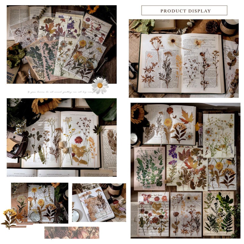 Maxleaf Botanic Series Sticker, 80PCS Large Dried Flowers Waterproof Transparent Stickers, PET Nature Plant Floral Stickers for Journaling Scrapbooking, Clear Flower Decals - Image 3