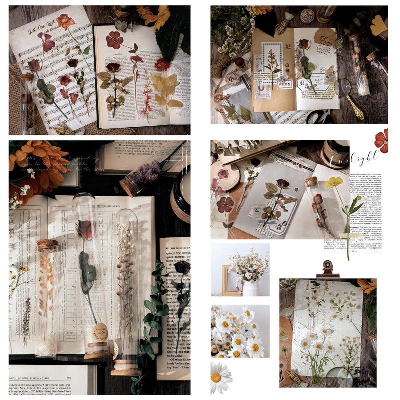 Maxleaf Botanic Series Sticker, 80PCS Large Dried Flowers Waterproof Transparent Stickers, PET Nature Plant Floral Stickers for Journaling Scrapbooking, Clear Flower Decals - Image 4