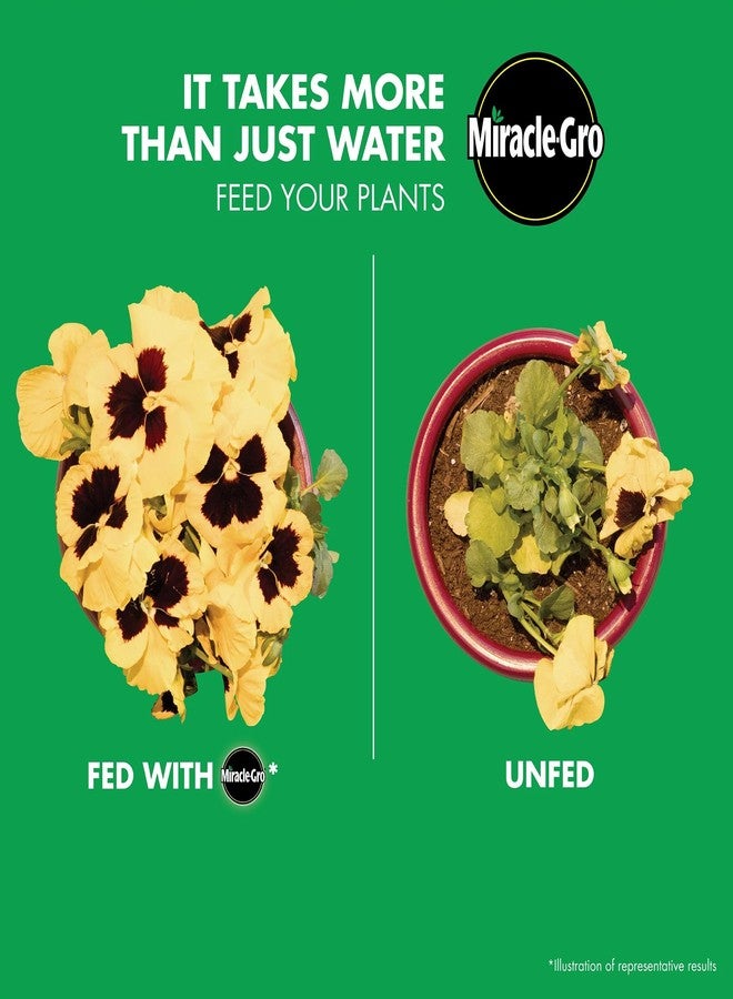 Miracle-Gro Water Soluble Bloom Booster Flower Food, for Use on All Annuals and Perennials, 1.5 lbs., 2-Pack - Image 2