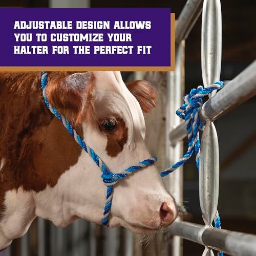 Weaver Livestock حزام حيوانات المزرعة من ويڤر، حبل بولي مضفر، حزام بقر قابل للتعديل، معدات التعامل مع الماشية للعرض، أزرق داكن/أزرق إعصار/رمادي - Image 4