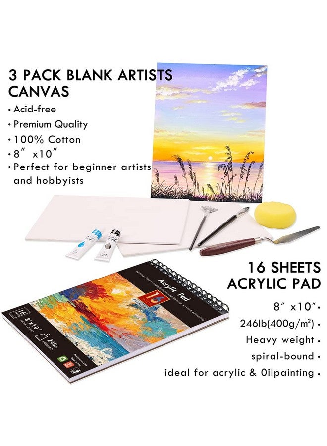 KALOUR Acrylic Paint Set 56 Pcspainting Supplies With 24 Acrylic Paint16 Sheets Acrylic Padpainting Brushescanvaspaletteeasel Art Craft Paints Kit For Artists Beginnerskids And Adults. - Image 5