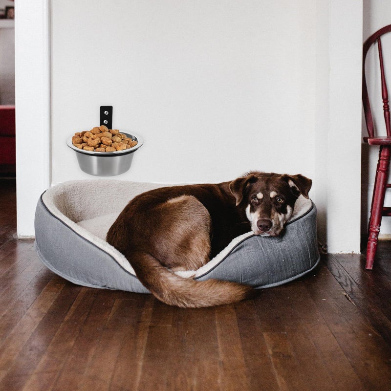 Wall Mounted Elevated Dog Bowl And Water Dish 6 Inch For Puppies And Cats - Image 5