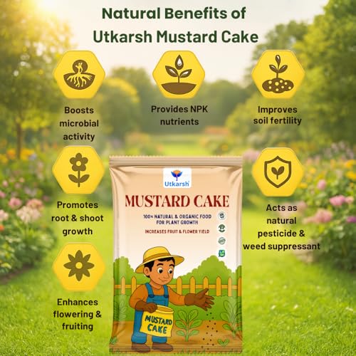 Utkarsh Mustard Cake Fertilizer for Healthy Plants Growth - 900 gm | 100% Pure, Natural & Organic Sarson Khali, Improves Soil Health, Plant Food for Stronger Roots, Bigger Blooms, Healthier Harvests - Image 3