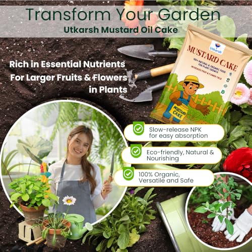 Utkarsh Mustard Cake Fertilizer for Healthy Plants Growth - 900 gm | 100% Pure, Natural & Organic Sarson Khali, Improves Soil Health, Plant Food for Stronger Roots, Bigger Blooms, Healthier Harvests - Image 4