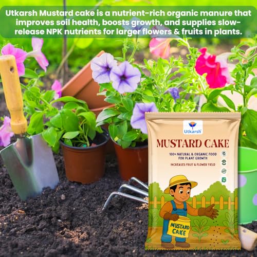 Utkarsh Mustard Cake Fertilizer for Healthy Plants Growth - 900 gm | 100% Pure, Natural & Organic Sarson Khali, Improves Soil Health, Plant Food for Stronger Roots, Bigger Blooms, Healthier Harvests - Image 2