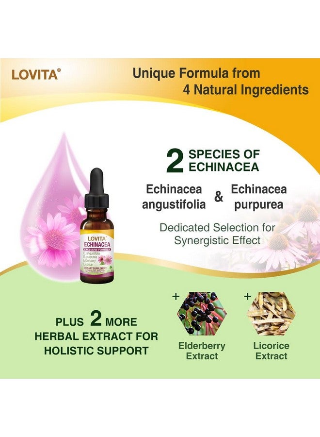 Lovita مستخلص إشنسا السائل من لوفيتا | 1 أونصة سائلة | 350 ملغ لكل حصة | صبغة أعشاب مركزة | نباتي | خالي من الكحول | مع مستخلص البلسان والعرقسوس (عبوة من 3) - Image 2