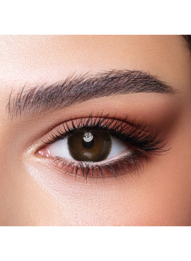 Bella Cedar One Day Color Contact Lenses - 10 Lenses - Image 2