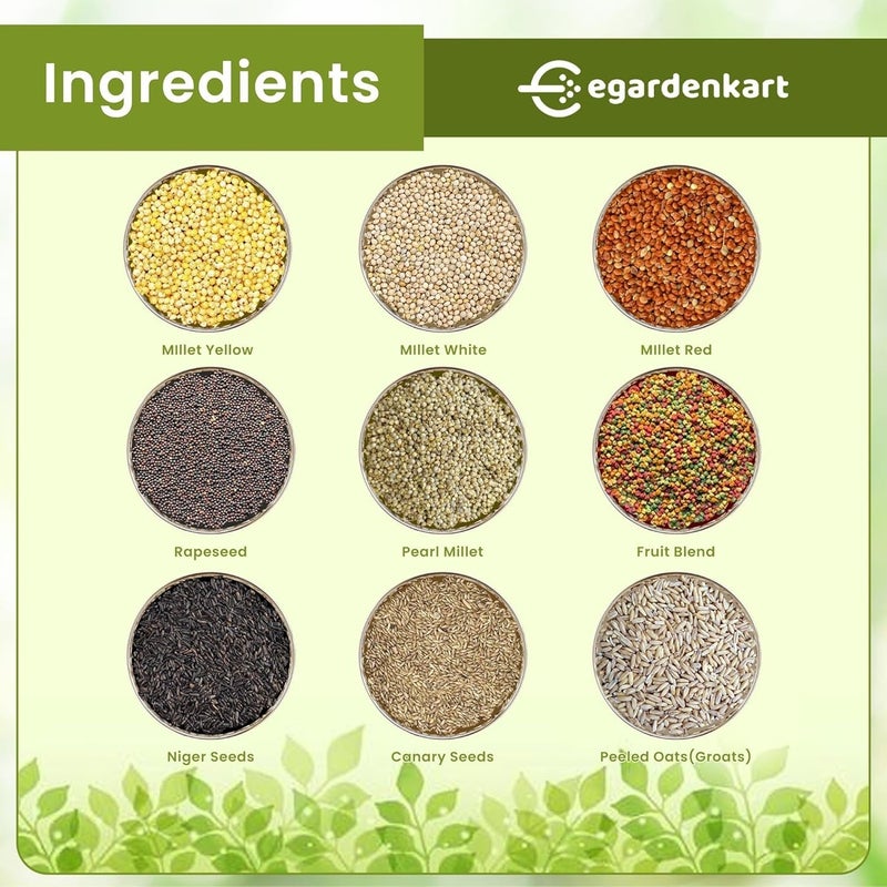 Egardenkart طعام الطيور الصغيرة من إي غاردن كارت للببغاوات - 8 كجم، بذور الطيور للطيور الصغيرة والطيور البرية | طعام الطيور للفنش والكناري والكوكاتيل والطيور ذات المنقار المعقوف والحمام والسمان والعصافير (8 كجم، ببغاء) - Image 4