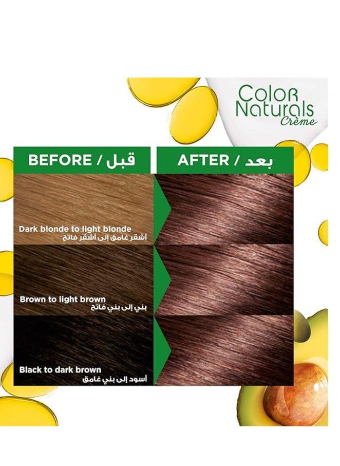 Garnier Garnier Color Naturals Creme - 6.7 Pure Chocolate Brown 112 ML  - Image 4