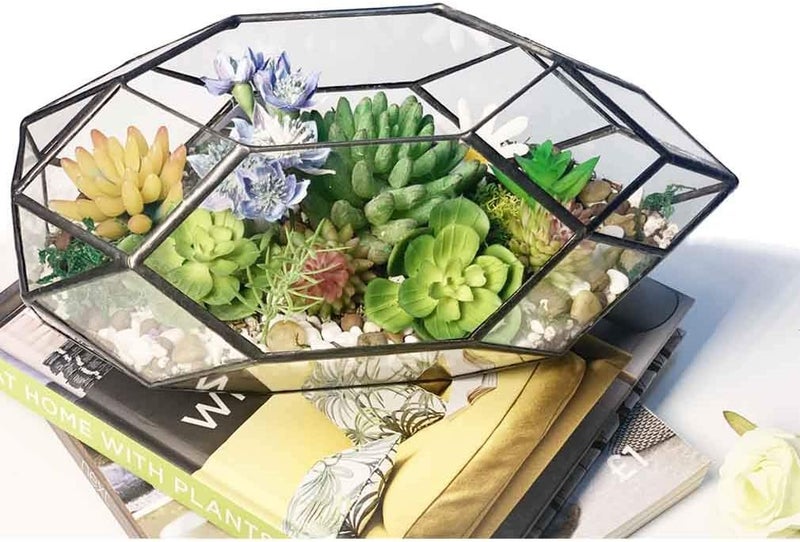 Ferrisland حوض زراعة زجاجي كبير يدوي 10" بتصميم هندسي غير منتظم لحفظ النباتات الهوائية الداخلية وعرضها على النافذة أو الشرفة، أسود - Image 2