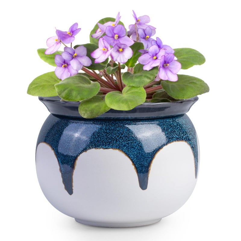 African Violet Pots 6 inch Ceramic Easy Self Watering Plant Pot for Busy Plant Lovers Automatically Absorb Appropriate Amount of Water Flower Pot IndoorPlants Not IncludedBlue