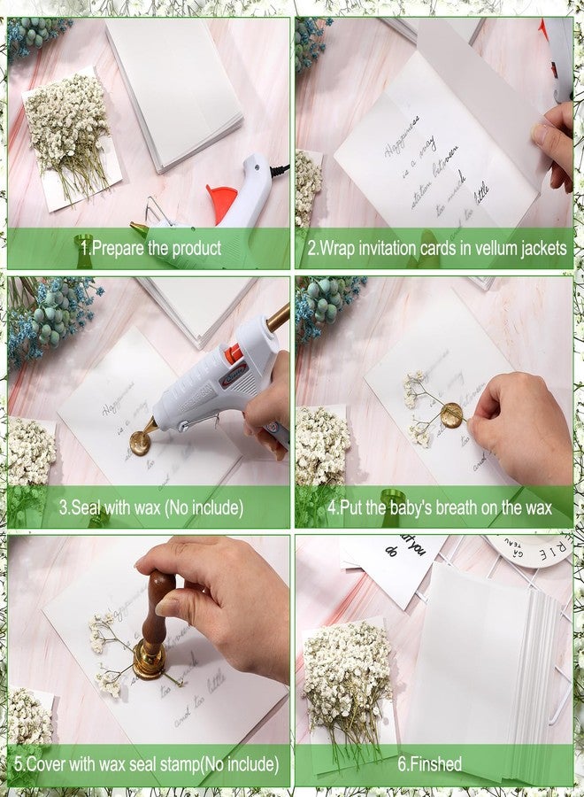 Fabbay 100 Pcs Wedding Invitations Wraps Set Include Pre Folded Vellum Jackets for 5 x 7 Inch Invitations Natural Dried Pressed Flowers for Wedding Craft DIY - Image 5