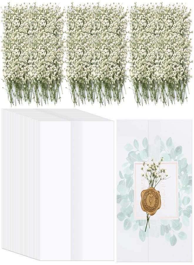 Fabbay 100 Pcs Wedding Invitations Wraps Set Include Pre Folded Vellum Jackets for 5 x 7 Inch Invitations Natural Dried Pressed Flowers for Wedding Craft DIY - Image 1