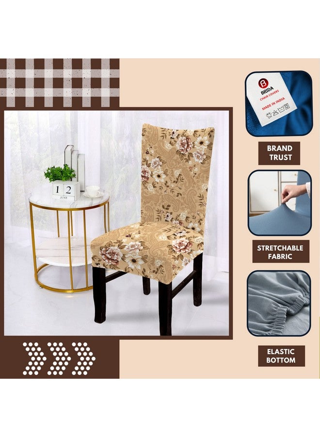 BRIDA® Polyester Spandex Stretchable Floral Geometric Printed Dining Chair Covers Elastic Chair Seat Case Protector, Slipcovers (4 Chair Cover, Beige) - Image 2
