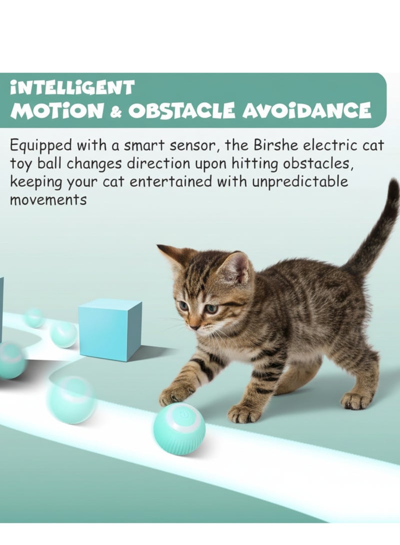 FUNFY Interactive Smart Rolling Toy for Cats – Automatic Jumping, Vibrating & 360° Rotating Motion – Keeps Pets Active - Image 2