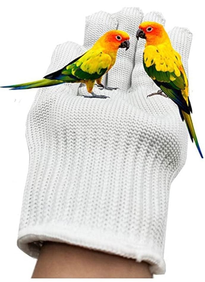 Generic 1Pair Bird Training Anti Bite Gloves Parrot Chewing Safety Protective Steel Wire Small Animal Handling fit for Squirrels Hamster Hedgehog - Image 5