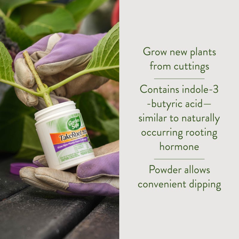 Garden Safe Brand TakeRoot Rooting Hormone, 12 Count, Powder Helps Grow New Plants from Cuttings Including Most Home, Garden and Greenhouse Varieties, 12 Pack - Image 2