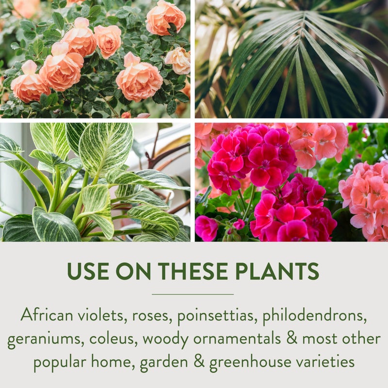 Garden Safe Brand TakeRoot Rooting Hormone, 12 Count, Powder Helps Grow New Plants from Cuttings Including Most Home, Garden and Greenhouse Varieties, 12 Pack - Image 3