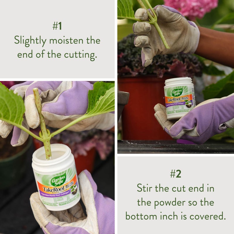 Garden Safe Brand TakeRoot Rooting Hormone, 12 Count, Powder Helps Grow New Plants from Cuttings Including Most Home, Garden and Greenhouse Varieties, 12 Pack - Image 4