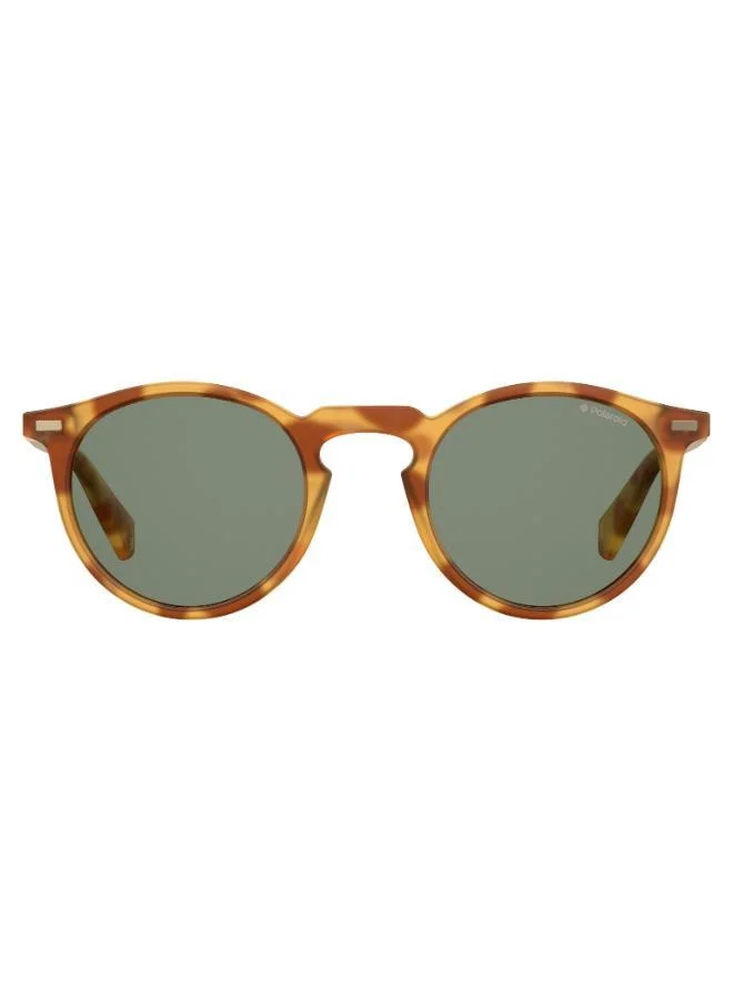 Polaroid Wayfarers Sunglasses