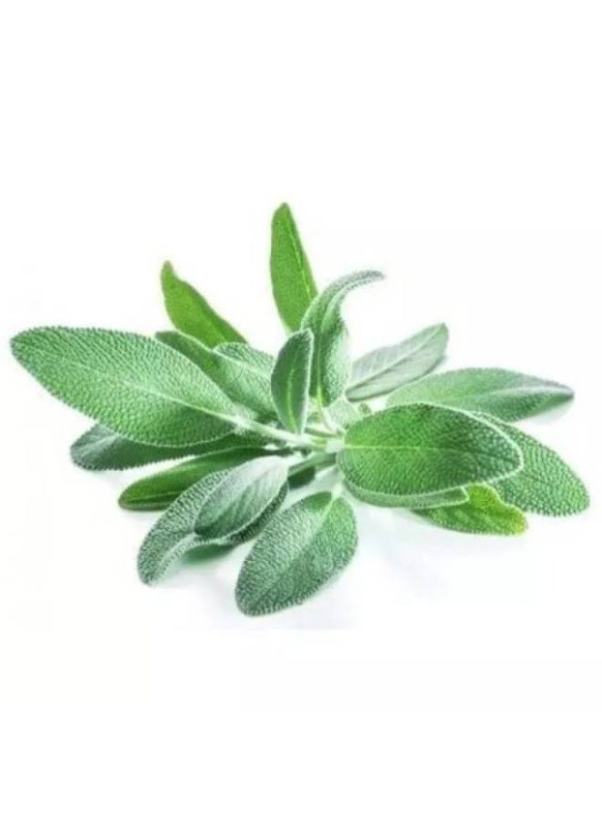 Sage, 100g, Kenya