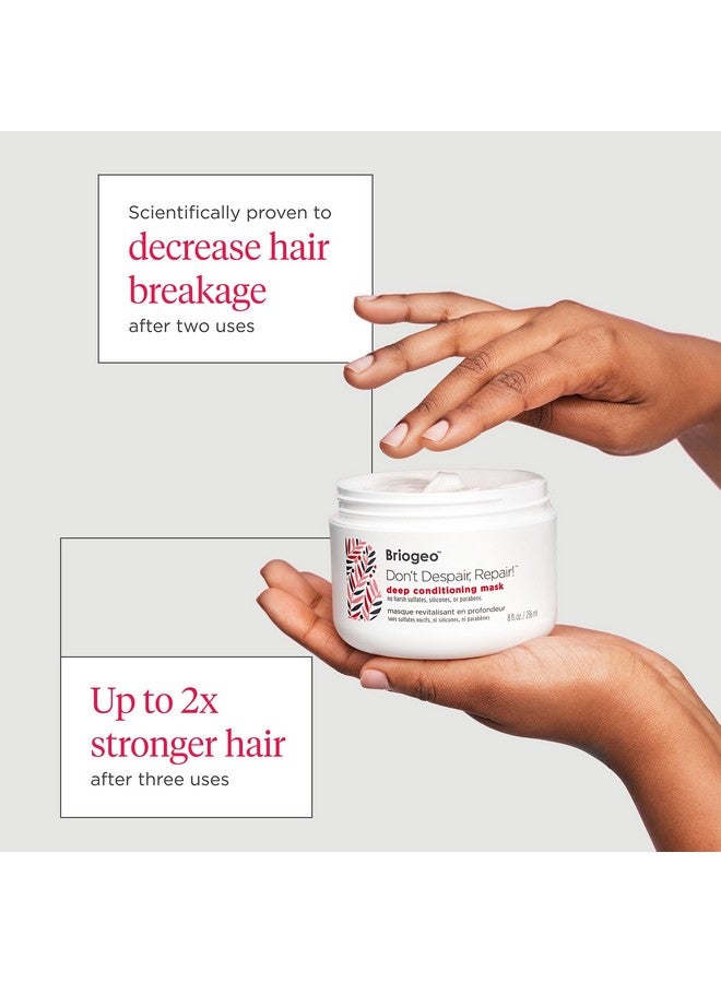بريوجيو، لا تيأسي، أصلحي! قناع ترطيب عميق، بلسم عميق للشعر الجاف والتالف أو المصبوغ، يمنع تكسر الشعر مستقبلًا، قناع بروتين لشعر أقوى، نباتي، خالٍ من القسوة، 113 مل - Image 4