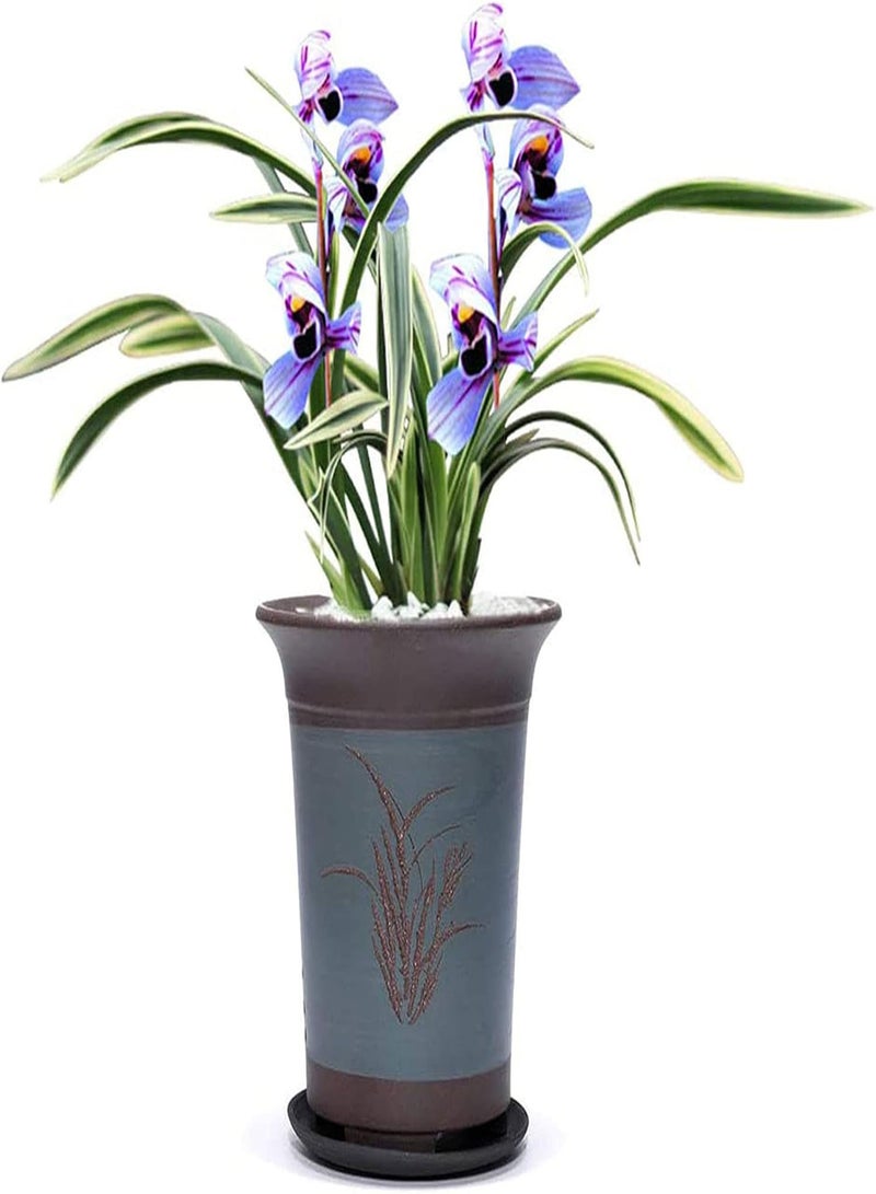 GGOOT Orchid Seeds Garden Perennial Flowering Plant Bonsai Potted Plant Seeds Fresh Orchid Seeds Decoration 4 - Image 1