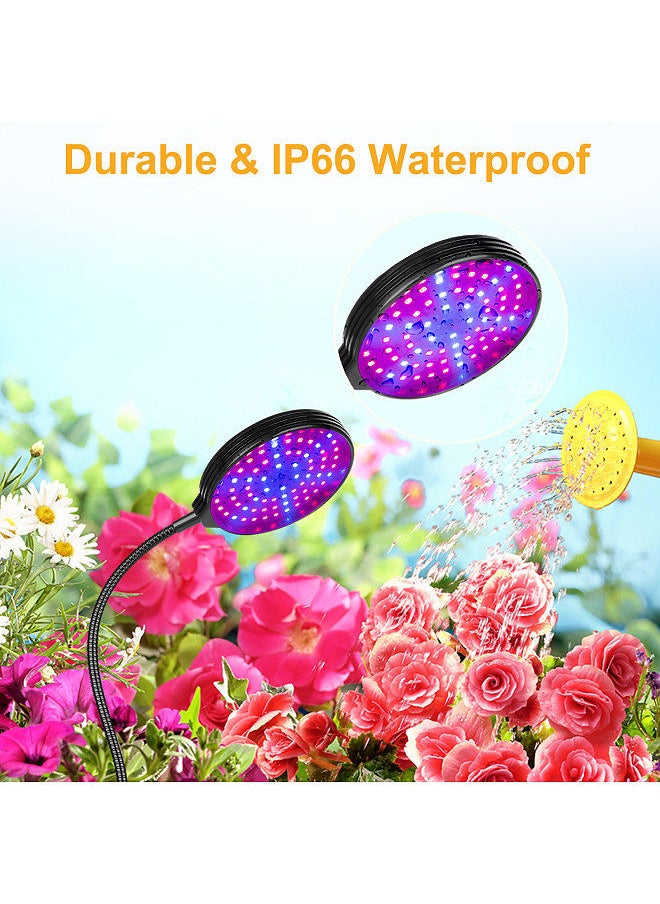 Generic - Sunlike LED Grow Light with Blue Red Light Auto On/Off 4/8/12H Timer 5 Brightness Leves Waterproof Clip Plant Growing Light - Image 1
