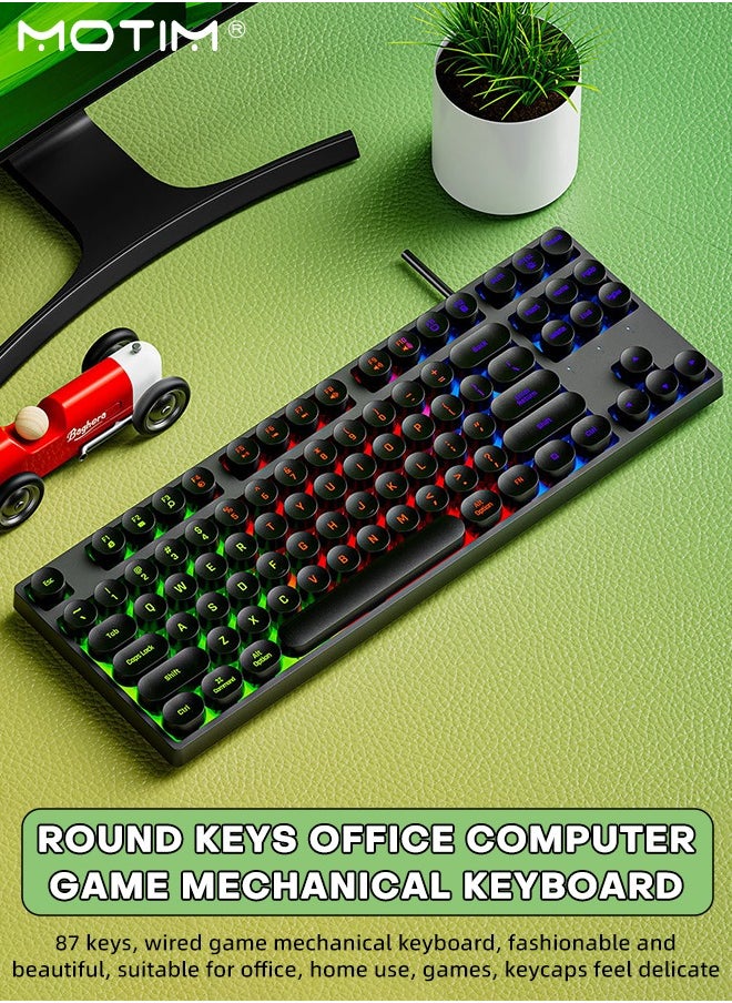 Mechanical Gaming Keyboard, Punk Rainbow Backlit Keyboard, 87 Key Round Keycaps USB Wired Retro Typewriter Style Keyboard for PC/Mac Computer Gamer, Typist