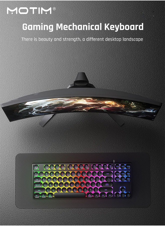 Mechanical Gaming Keyboard, Punk Rainbow Backlit Keyboard, 87 Key Round Keycaps USB Wired Retro Typewriter Style Keyboard for PC/Mac Computer Gamer, Typist