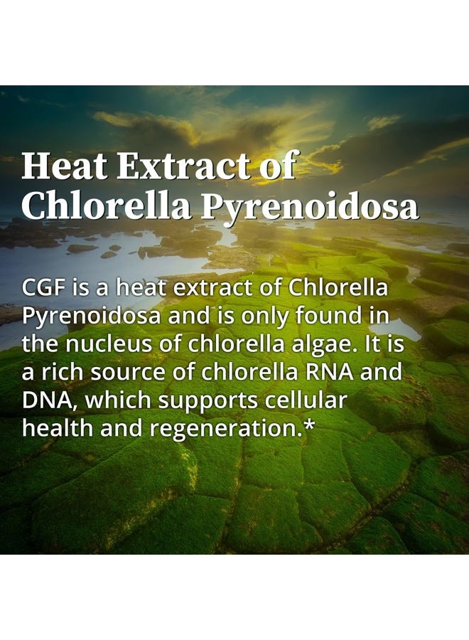 BioPure Chlorella Growth Factor Capsules – Nutrient-Dense, Nutraceutical Superfood Packed with Proteins, Vitamins, Minerals & Amino Acids That Supports Metabolism, Detox & Immunity – 100 Capsules - Image 5