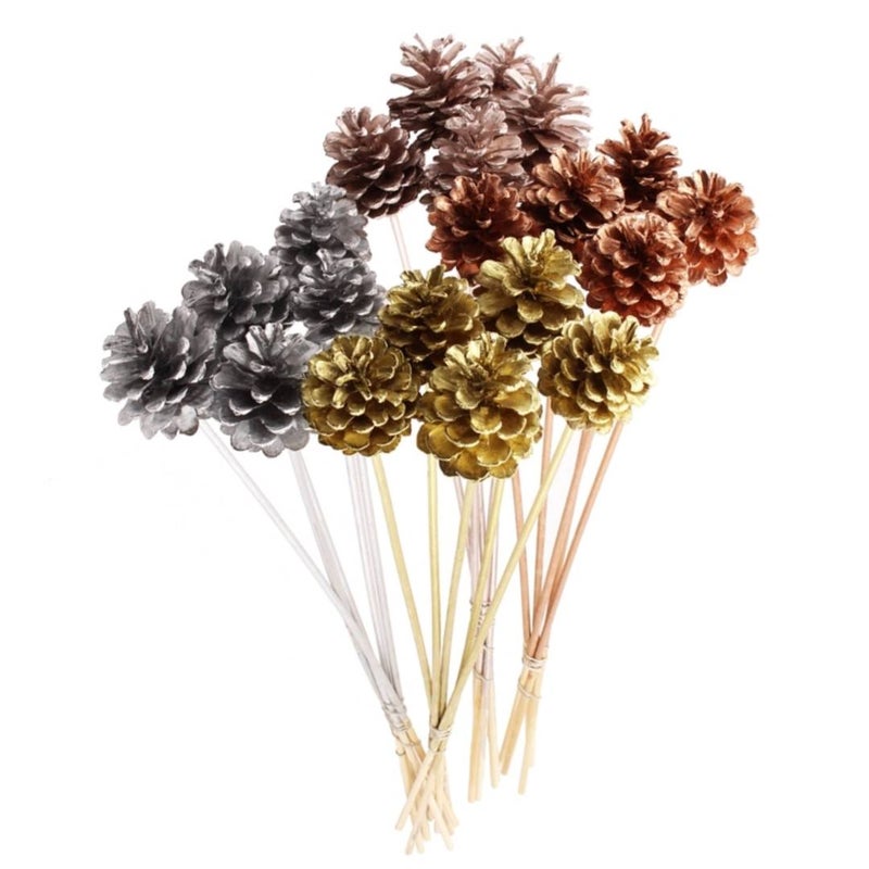 Kibsons Pine Cone , Mix Tinted - 10 Stems, Netherlands - Image 2