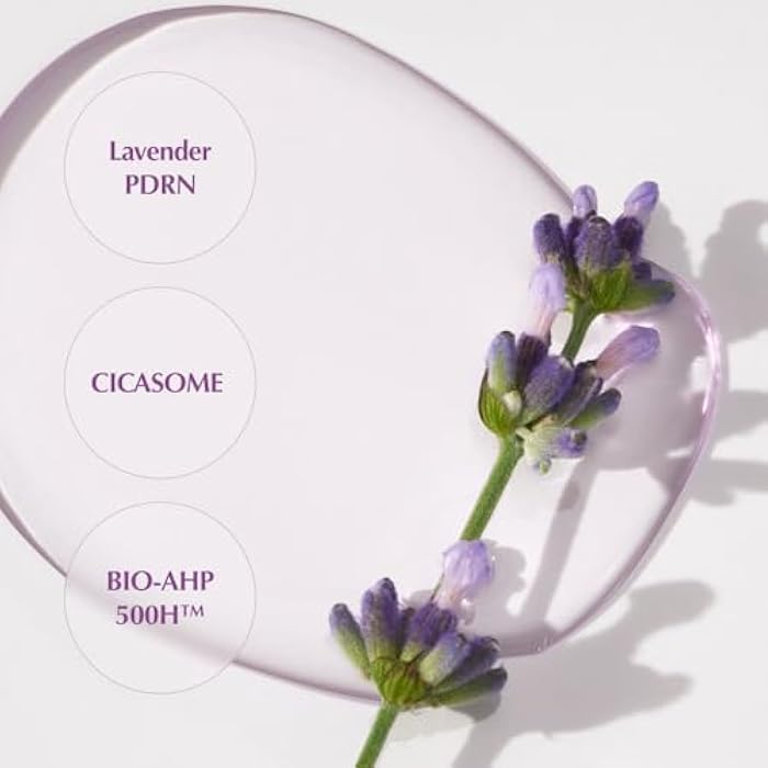 KAINE Lavender PDRN Revitalizing Toner | Hydrating, Soothing, and Supporting Skin Barrier for Dull, Dry, and Irritated Skin | Korean Skincare (300ml / 10.14 fl. oz.) - Image 4