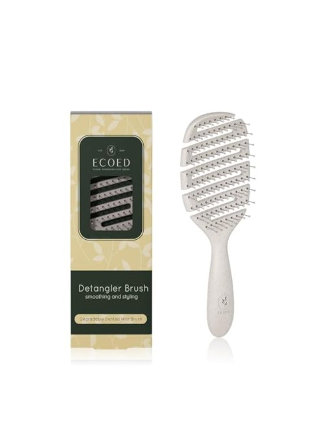ecoed Detangler Hairbrush Soft Bristle Detangling Brush for Straight WavyCurly and Fine Hair Dry and Wet Quick Smoothing for Women and Men EcoFriendly Sustainable Material Natural - Image 1