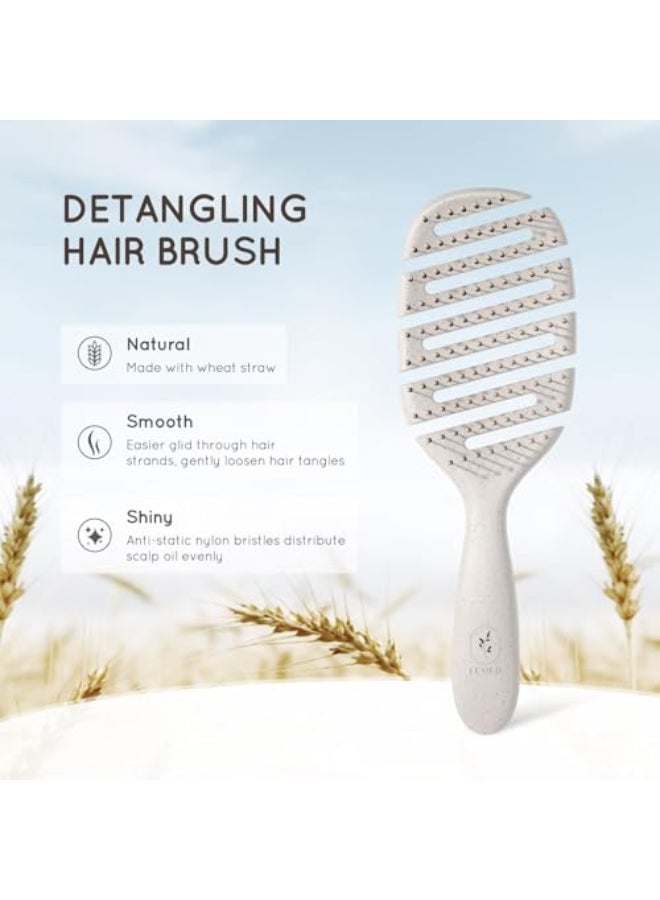 ecoed Detangler Hairbrush Soft Bristle Detangling Brush for Straight WavyCurly and Fine Hair Dry and Wet Quick Smoothing for Women and Men EcoFriendly Sustainable Material Natural - Image 3